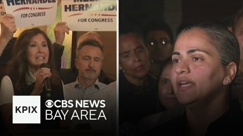 Aisha-Wahab-defeats-Melissa-Hernandez-in-race-to-fill-remainder-of-former-Rep.-E.jpg